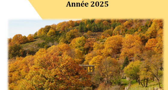 Bulletin municipal n°5