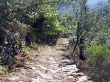Sentier-Bosc2