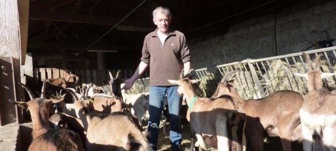 Article Midi Libre : le pélardon local d’Éric Dedieu mérite d’être connu et dégusté