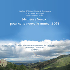 Bonne Année 2018